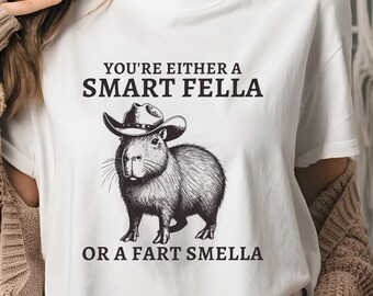 You're Either a Smart Fella or a Fart Smella Shirt, Sarcastic Shirt, Vintage 90s Shirt, Meme Sweatshirt, Retro Shirt, Weird Tee, Funny Gift