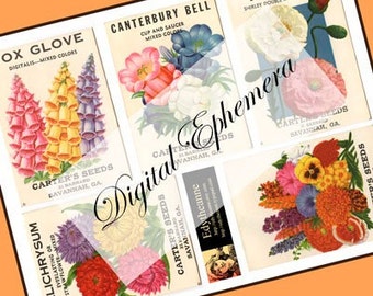 VIntage Flower Seed Packs Digital Graphics Mixed Bouquet Colors