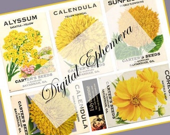 Vintage Flower Seed Packets E-graphics Yellows