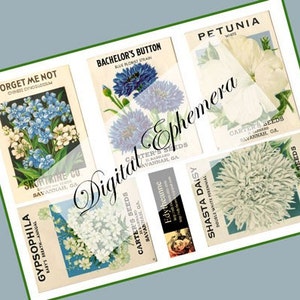 Paquetes de semillas de flores vintage Digital Ephemera Blue