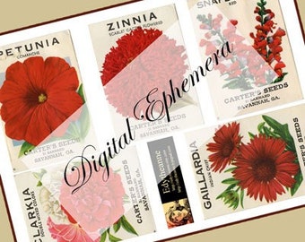 Vintage Flower Seed Packs Red PDF Ephemera