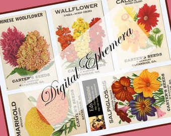 Vintage Seed Pack PDF Mixed Colors