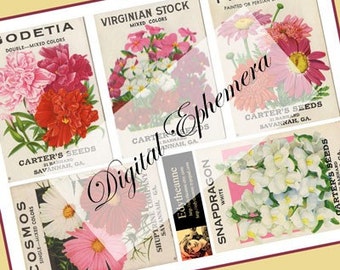 Vintage bloemzaadpakketten Pinks PDF Ephemera