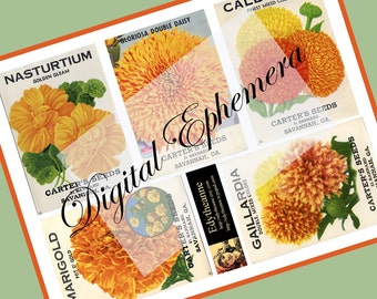 Vintage Flower Seed Packs Orange PDF Ephemera Digital