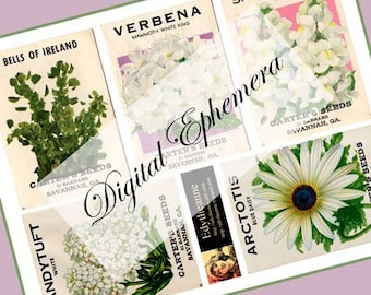 Vintage Flower Seed Packs E Graphics Whites