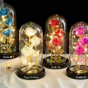 以下が含まれることがあります： 青、白、赤、ピンクのLEDライト付きメタリックローズが入った4つのガラスドーム。各バラには金の蝶が添えられています。ドームは黒いベースの上にあり、名前やメッセージが書かれたものもあります。