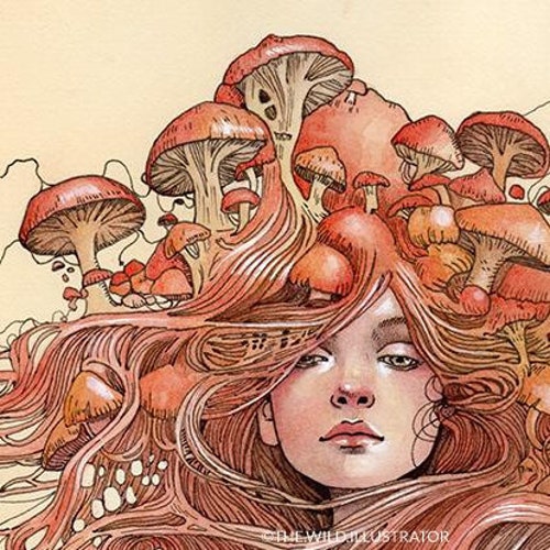 WildIllustrator - Etsy