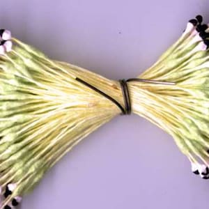 May include: A bundle of floral stamens, featuring pale green stems and white tips with black accents. The stamens are tied together with a wire, creating a symmetrical, bow-like shape. The background is a soft purple.