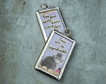 1 Cats are So Unpredictable Reversible Pendant (JWL)