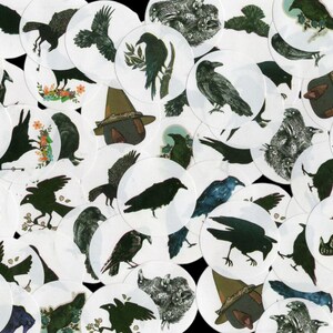 May include: A collection of round, white stickers featuring black silhouettes of crows and ravens. The stickers depict the birds in various poses, including flying, perched, and in flight.