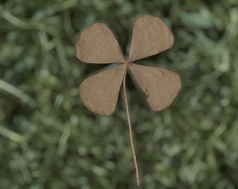 3 NATURAL Four Leaf Clovers -  UN-DYED Natural - Dried & Pressed (4-Leaf Clovers) - St Patricks Day - Good Luck - Ireland - Irish (Dr-019)