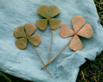 3 Large Natural Dried and Pressed Real Four Leaf Clover