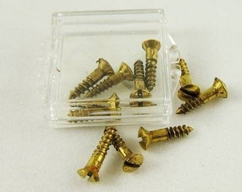 10 Vintage Little Brass Screws in a Little Plastic Box (DR-008)