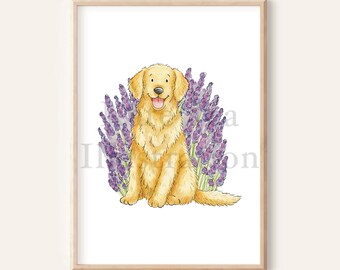 May include: A watercolor illustration of a golden retriever dog sitting in a field of purple lavender flowers. The dog is smiling and has a happy expression.