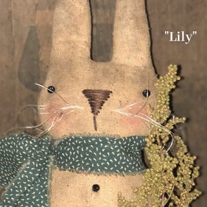 Peut inclure: Un lapin en tissu fait main avec une écharpe verte et des fleurs séchées. La poupée est étiquetée "Lily".