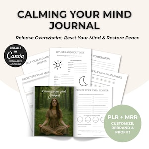 Diario di salute mentale stampabile / Quaderno di lavoro per calmare l'ansia / Pianificatore di auto-cura in formato PDF / Check-in giornaliero / Fogli di lavoro per la terapia (plr products)