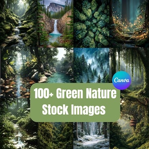 Green Nature Stock Photos Canva Bundle | Forest Trees Moss Waterfalls  | Aesthetic Stock Images | Instant Download Green Nature Photos