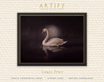 Vintage Swan Wall Art on Black Water, Moody Bird Painting in Cream, Above Sofa Decor, Dark Academia Bedroom Art, Horizontal Digital Download