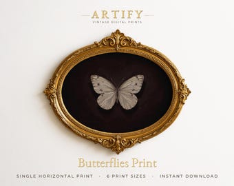 Pale Cream Butterfly Wall Art, Dark Moody Specimen Painting, Dining Room Decor, Dark Academia, Ivory on Black, Horizontal Digital Download