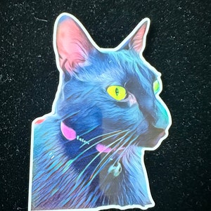 Sticker profil de chat enchanteur