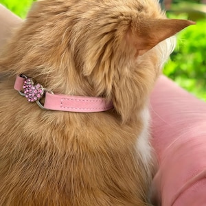 Cat Collar, Cat Bell Collar, Puppy Collar, Cat Accessories, Small Animal, Pet Accessories, Pet Supplies, Gifts For Pets, Cat Furniture
