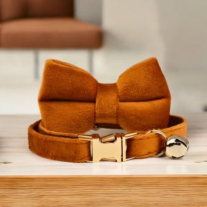 Cat Collar, Cat Bell Collar, Personalized Cat Collar, Cat Accessories, Small Animal, Pet Accessories, Pet Supplies, Cat Furniture