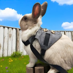ウサギ用ハーネス、ウサギ用リーシュ、子犬用ハーネス、最高のウサギ用ハーネス、ウサギ用アクセサリー、ペット用品、ウサギ用家具、ペットへのギフト