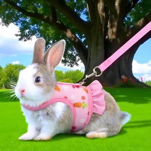 ウサギ用ハーネス、ウサギ用リーシュ、子犬用ハーネス、最高のウサギ用ハーネス、ウサギ用アクセサリー、ペット用品、ウサギ用家具、ペットへのギフト