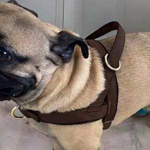 Personalized Dog Harness, Puppy Harness, No-Pull Dog Harness, Dog Harness, Pet Supplies, Pet Accessories, Dog Accessories, Dog Gifts