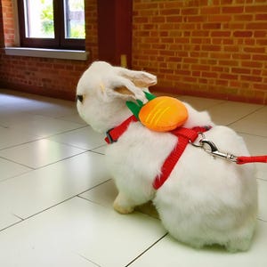 ウサギ用ハーネス、ウサギ用リーシュ、子犬用ハーネス、最高のウサギ用ハーネス、ウサギ用アクセサリー、ペット用品、ウサギ用家具、ペットへのギフト