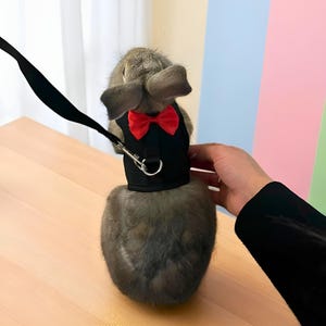 ウサギ用ハーネス、ウサギ用リーシュ、子犬用ハーネス、最高のウサギ用ハーネス、ウサギ用アクセサリー、ペット用品、ウサギ用家具、ペットへのギフト