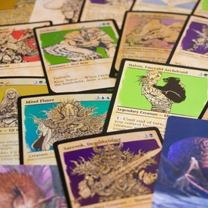 forgotten realms card sleeves Japanese Size Card Sleeves