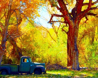 Truck Under Cottonwood Trees in Abiquiu, New Mexico - Note Card Blank Inside - Photo Greeting Card by Sue Kohler