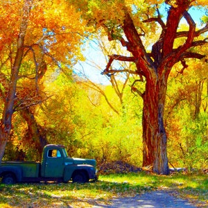 Abiquiu New Mexico Photo Card: Old Truck Under Cottonwood Trees
