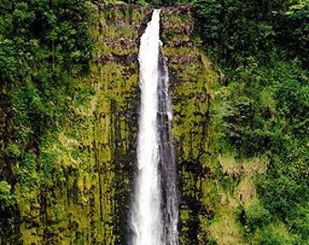 Akaka Falls Big Island Hawaii Photo Greeting Card - Waterfall on the Hamakua Coast, Hawaii - Fine Art Nature Photography by Sue Kohler