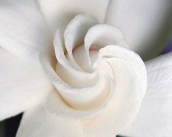 White Gardenia Photo Greeting Card - Exotic Tropical Wedding Card