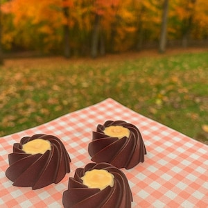 May include: Three dark chocolate confections with a spiral design and a yellow center are arranged on a pink and white checkered surface. The background features a blurred view of autumn trees.
