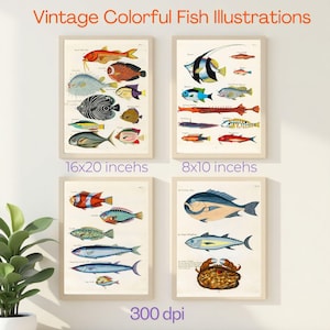 Vintage Colorful Fish Illustrations Ocean Sea Life Wall Art Prints  Antique Marine Biology Decor  Digital Download  Tropical Fish Poster Set