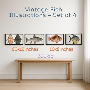 Vintage Fish Illustrations – Set of 4 Antique Scientific Marine Prints –Digital Wall Art for Coastal & Nautical Decor