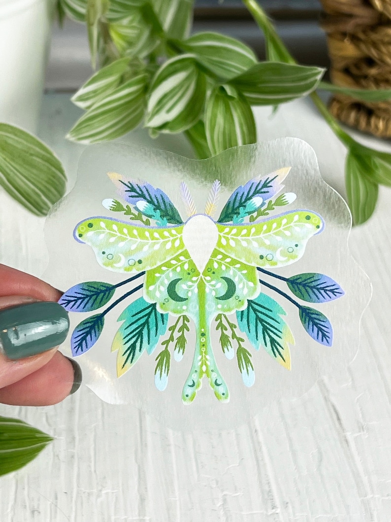 Clear Luna Moth Sticker 3x2.5 inch image 2