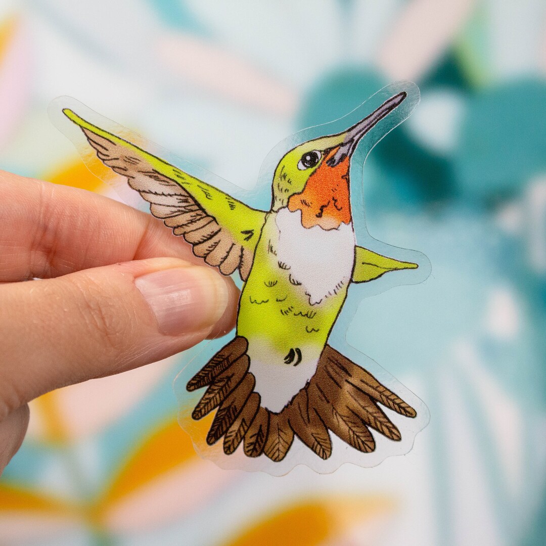 Clear Ruby-throated Hummingbird Vinyl Sticker - Etsy