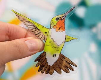 Pegatina de vinilo transparente de colibrí de garganta de rubí