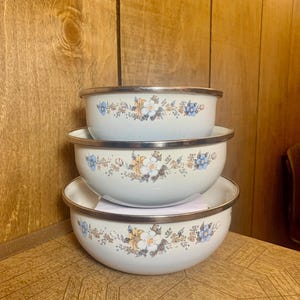Vintage Porcelain Enamel Bowl Set by Johann Haviland China