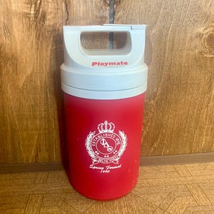 Vintage Igloo 1/2 Gallon Beverage Cooler