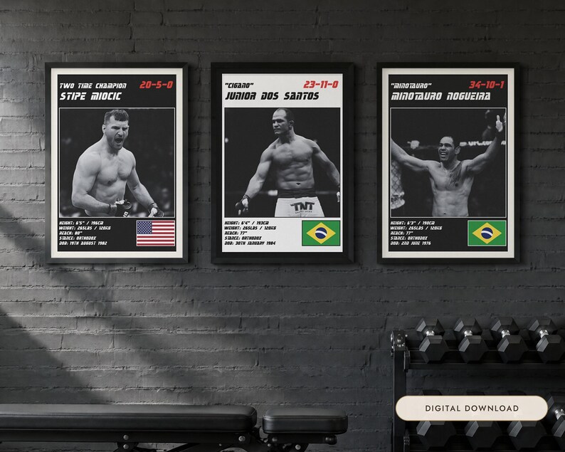 May include: Three framed posters featuring black and white photographs of MMA fighters Stipe Miocic, Junior Dos Santos, and Minotauro Nogueira. Each print includes the fighter's name, record, physical stats in imperial units, and a national flag.