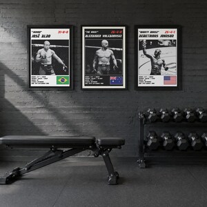 May include: Three framed posters featuring black and white photographs of MMA fighters Jos&eacute; Aldo, Alexander Volkanovski, and Demetrious Johnson. Each poster includes the fighter's nickname, record, physical stats, and national flag.