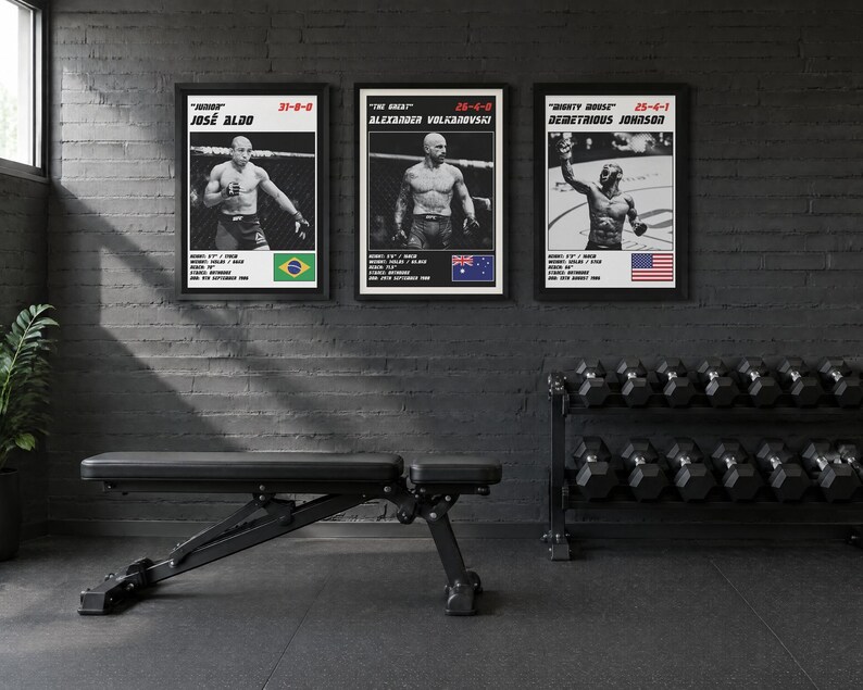 May include: Three framed posters featuring black and white photographs of MMA fighters Jos&eacute; Aldo, Alexander Volkanovski, and Demetrious Johnson. Each poster includes the fighter's nickname, record, physical stats, and national flag.