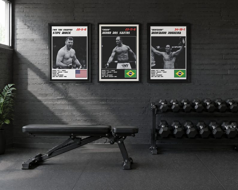 May include: Three framed black and white posters featuring MMA fighters Stipe Miocic, Junior dos Santos, and Minotauro Nogueira. Each poster displays the fighter's name, record, physical stats, and a national flag in the bottom corner.