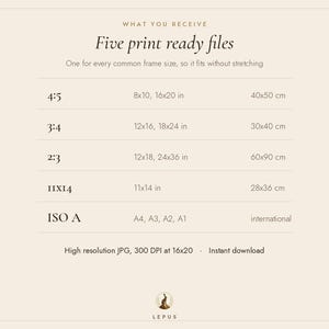 Puede incluir: Un gr&aacute;fico informativo beige titulado Five print ready files, que enumera cinco relaciones de aspecto incluyendo 4:5, 3:4, 2:3, 11x14 e ISO A con sus dimensiones m&eacute;tricas correspondientes, adem&aacute;s del texto high resolution JPG, 300 DPI at 16x20 e instant download.
