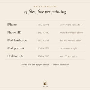 May include: A digital information chart on a light beige background detailing 35 files, five per painting. It lists device categories including iPhone, Phone HD, iPad landscape, iPad portrait, and Desktop 4K with corresponding pixel dimensions.